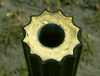 polysteel-post