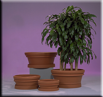 transitional round bowl vase containers