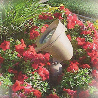 landscape compact flourscent flood lite close up