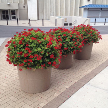 vase self watering planters along a walkway
