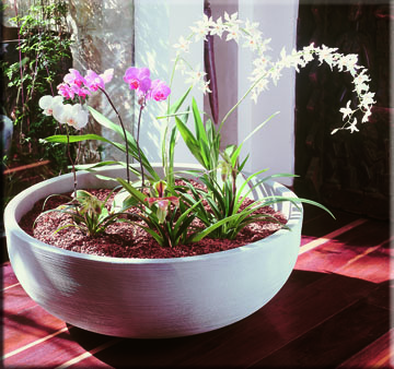 orinoco low bowl container